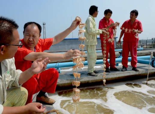 遇到生物水處理消泡劑後，生物水處理起泡不再是難題