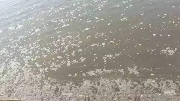 原來是沒用池塘用消泡劑，難怪池塘中的泡沫控製不住！