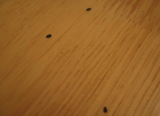 家具漆消泡劑在家具漆中的應用