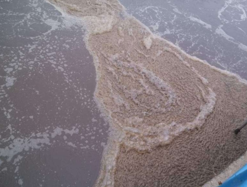 曝氣池消泡劑應用場景.png